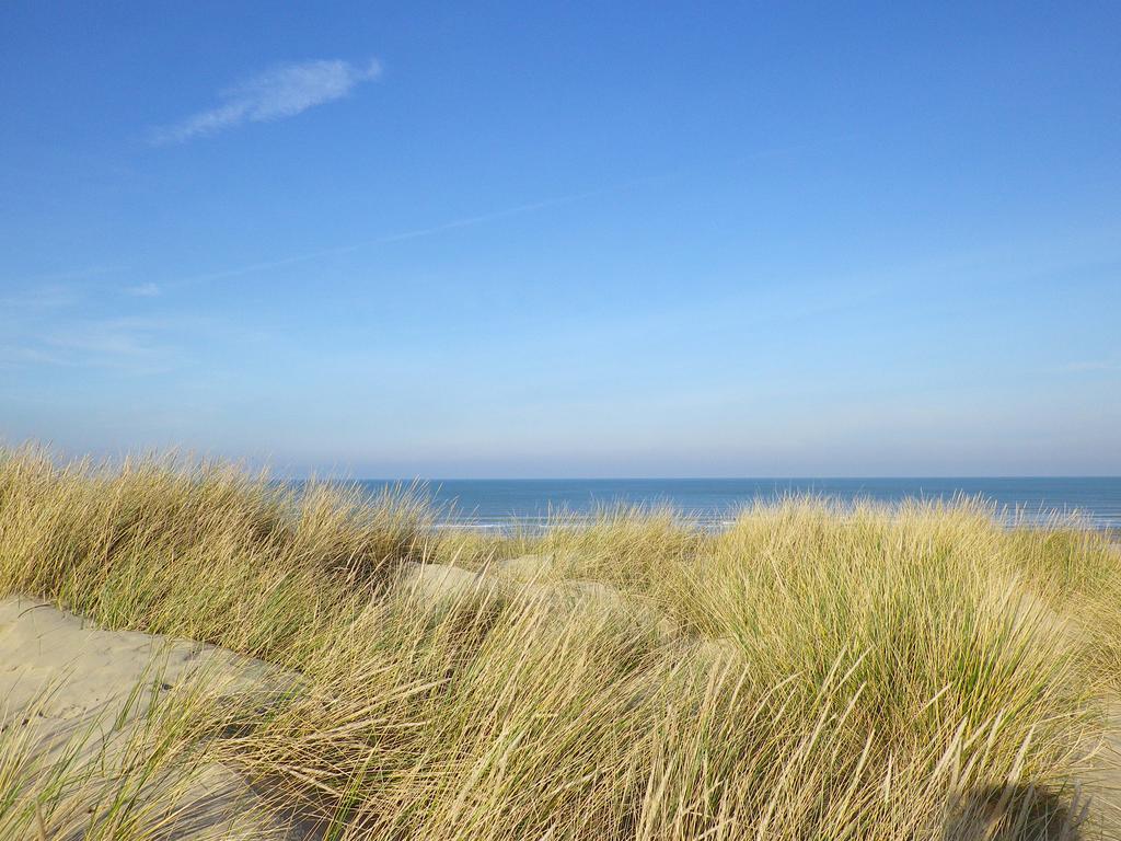 Evancy La Brise Des Dunes 布赖迪讷 外观 照片